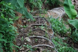 Farmer's bane, floods, river broke its bank, tire staircase, 