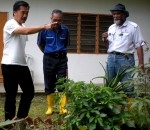 composted chicken litter as fertiliser.JPG