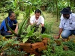 compost from litter used for herb garden.JPG