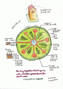 mandala n bird's nest for web.gif