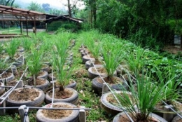 tire gardening, making concrete posts, making drainage holes in tires, uses for old tires,