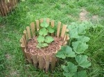 raised beds using bamboo1 web size.JPG