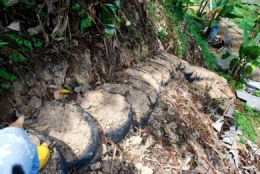 uses for used tires, tire gardening, tire stairs, permaculture, sustainable agriculture