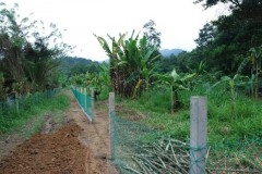 hoop houses, pastured poultry system, free-range chicken, organic chicken,