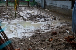 Farmer's bane, floods, river broke its bank, tire staircase, 