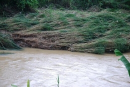 Farmer's bane, floods, river broke its bank, tire staircase, 