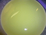 lacto-serum.gif