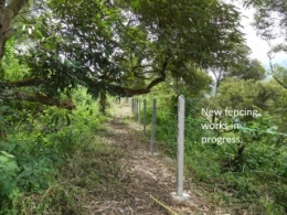 wild boar, pigs, anti-pig fencing, organic farming, dq farm,
