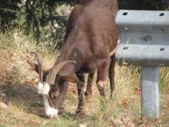 IMG_1416.JPG