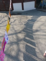 P1490330.jpg