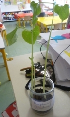 P1580755.jpg
