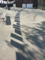 P1590691.jpg