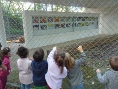 P1450600.jpg