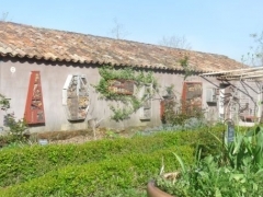 P1650495.jpg