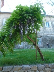 P1500633.jpg
