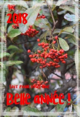 année 18 blog.jpg
