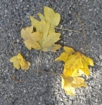 20151113_112048.jpg
