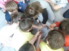 P1520342.JPG