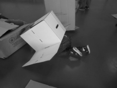 P1580283.jpg
