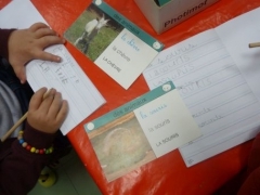 P1570934.jpg
