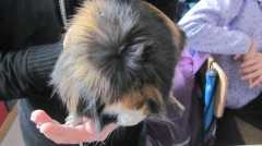 IMG_1761.JPG