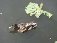 IMG_4288.JPG
