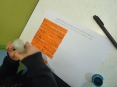 P1620717.jpg
