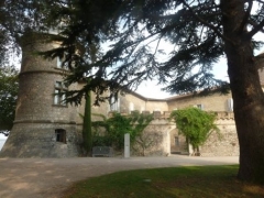 P1550564.jpg