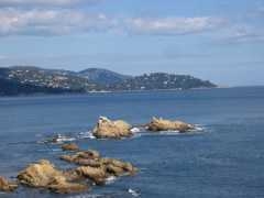 IMG_2400.JPG
