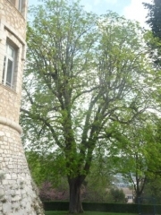 P1650580.jpg
