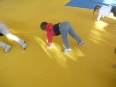 P1640005.jpg