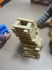 P1580561.jpg