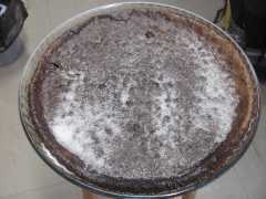 IMG_1285.JPG
