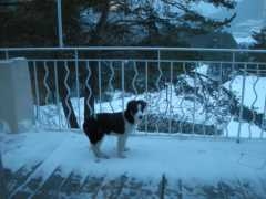 DSCN2784.JPG