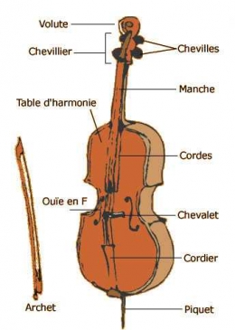 violoncelle.jpg
