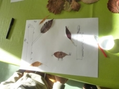 P1620731.jpg