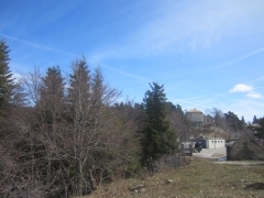 IMG_8187.JPG