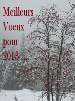 année 13b.jpg