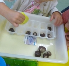 P1550361.jpg