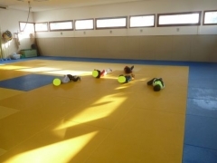 P1640012.jpg