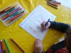P1570284.jpg