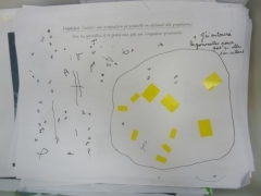 P1620162.jpg