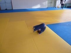 P1470329.JPG