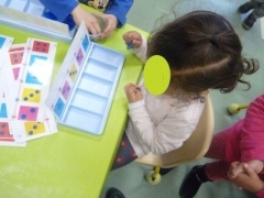 P1630218.jpg