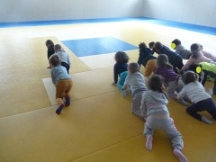 P1640149.jpg