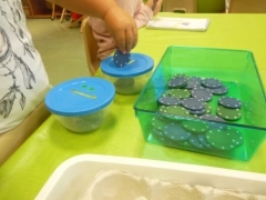 P1610416.jpg