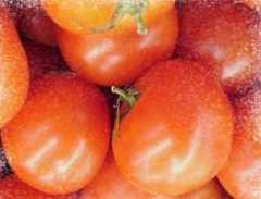 tomate.jpg