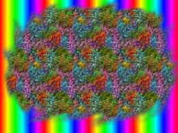 12f381493b835c78d9198631b70c06de.jpg