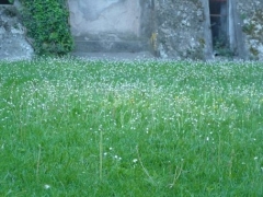 P1500634.jpg