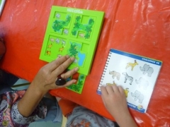 P1600484.jpg